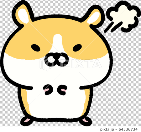 ゴールデンハムスター 怒る ゴールデンハムスター 怒る 64336734