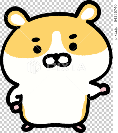 金倉鼠 64336740