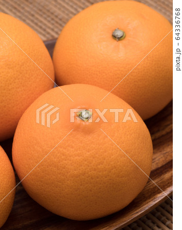 清見オレンジ 64336768