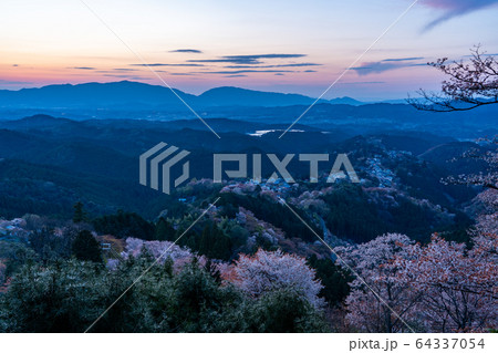 春の吉野山と桜 春の吉野山と桜 64337054
