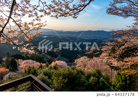 春の吉野山と桜 64337178