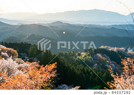 春の吉野山と桜 春の吉野山と桜 64337292
