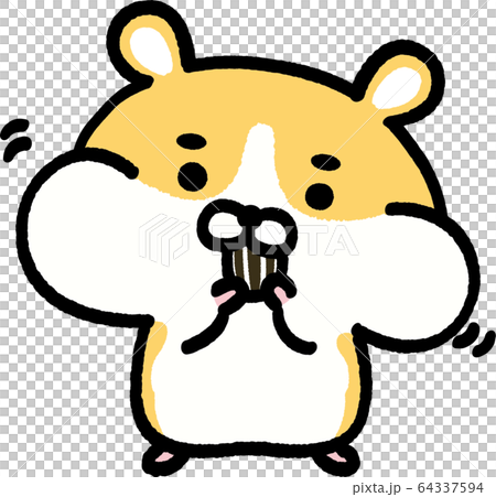 Inflatable cheek pouch golden hamster 64337594