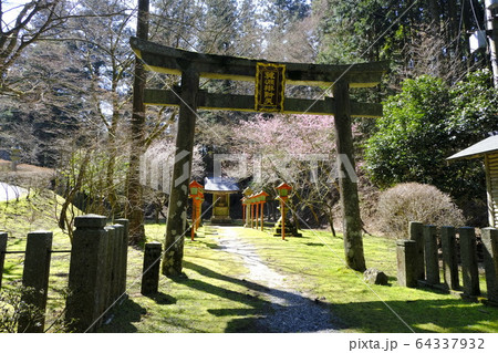 比叡山延暦寺  西塔 64337932