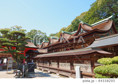 住吉神社 64338205