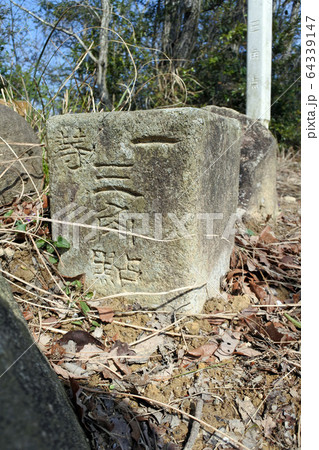 紀泉アルプス 俎石山 紀泉アルプス 俎石山 64339147