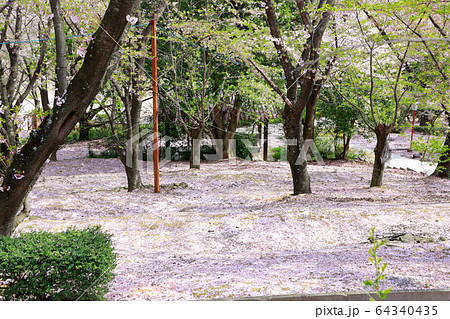 朝日山森林公園 64340435