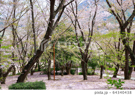 朝日山森林公園 64340438