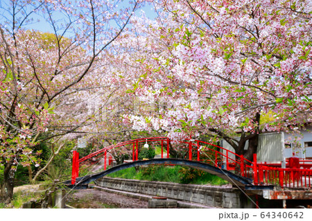 朝日山森林公園 朝日山森林公園 64340642