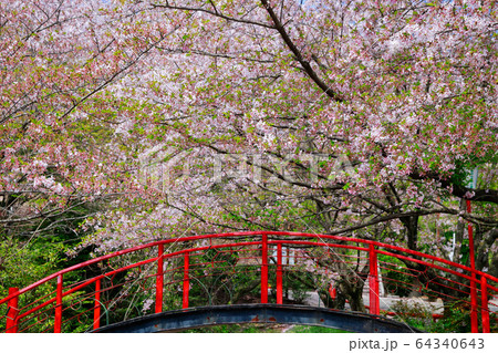 朝日山森林公園 64340643