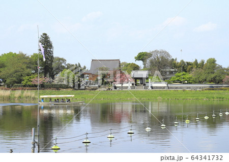 館林市つつじが岡公園 城沼の遊覧船と善長寺と鐘楼堂 館林市つつじが岡公園 城沼の遊覧船と善長寺と鐘楼堂 64341732
