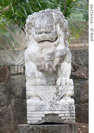 traditional chinese lion in Thai Buddhism temple 64342248