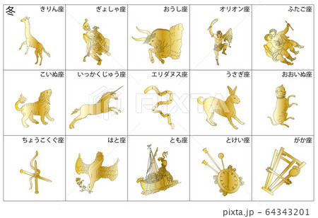 冬の星座線なし金枠名称 64343201
