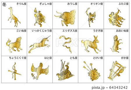 冬の星座影あり線なし金枠名称 冬の星座影あり線なし金枠名称 64343242