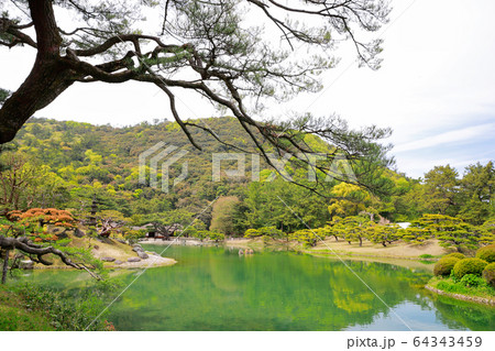 栗林公園 栗林公園 64343459