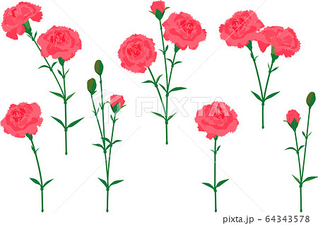 カーネーション ピンク ベクター イラスト セット 01のイラスト素材