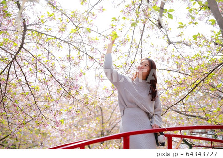 朝日山森林公園 64343727