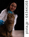 Female vet from latin america examining a cute cat 64344168