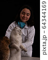 Latin female vet doctor examining a gorgeous Scottish fold cat 64344169