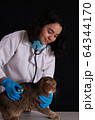 Female vet from latin america examining a cute cat fater the pet coronavirus suspicion 64344170