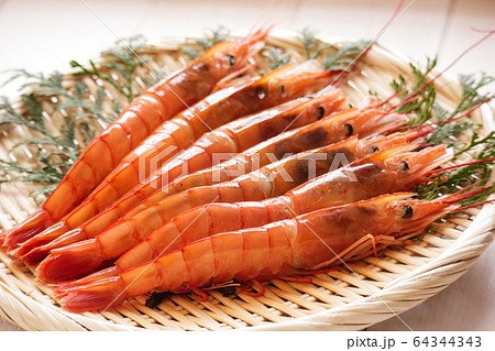 アルゼンチンエビ4 アルゼンチンエビ4 64344343