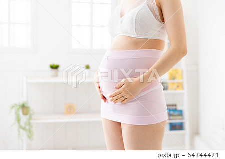 マタニティ　戌の日　腹巻 64344421