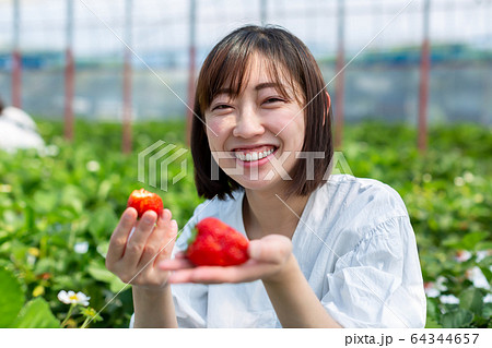 苺狩り　女性　アップ 64344657