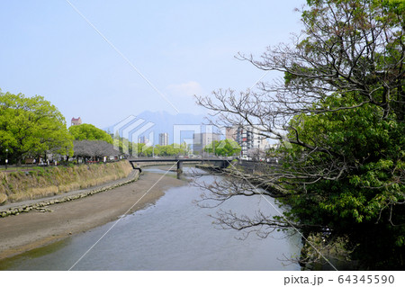 桜が蕾をつけた早春の甲突川の風景 桜が蕾をつけた早春の甲突川の風景 64345590