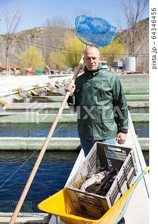 Farmer catching sturgeon with landing net Farmer catching sturgeon with landing net 64346456