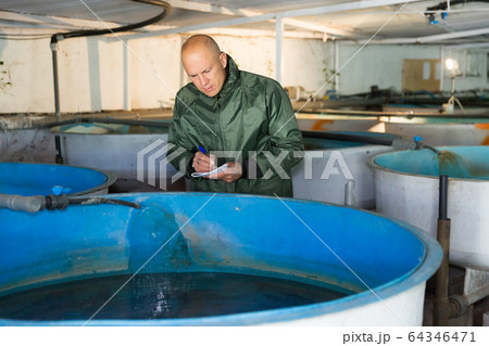 Owner of trout farm checking reservoirs with fry Owner of trout farm checking reservoirs with fry 64346471