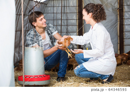 Female veterinarian talking to farmer Female veterinarian talking to farmer 64346593