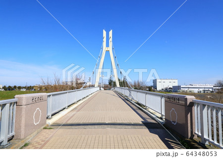 権現堂公園 外野橋(そとのはし) 権現堂公園 外野橋(そとのはし) 64348053