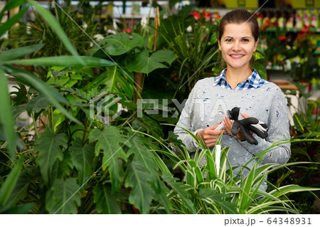 Female florist standing in gardening shop Female florist standing in gardening shop 64348931