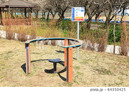 権現堂公園 3号公園 上体ひねり 権現堂公園 3号公園 上体ひねり 64350425