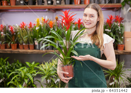 Friendly female flower shop owner offering blooming potted plants for sale 64351442