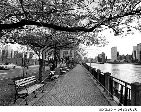 Park in Astoria Queens New York along the east river with a view of Roosevelt Island - image 64353620