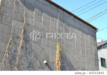 古い家・住宅 ブロック壁 老朽化 古い家・住宅 ブロック壁 老朽化 64353845