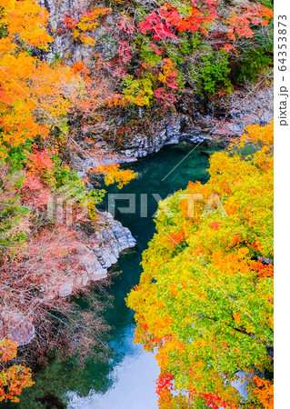 付知峡（秋） 64353873