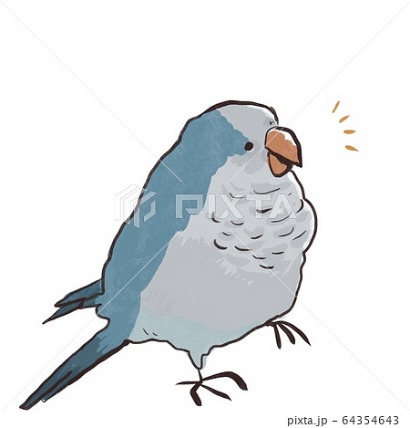 何かに気がつくオキナインコのイラスト素材