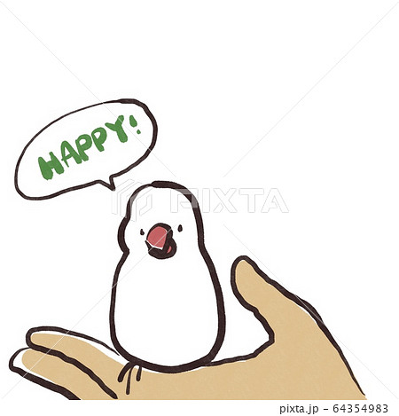 手に乗って幸せそうな手乗り文鳥　白文鳥 64354983