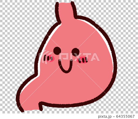 可愛的胃器官微笑健康 64355067