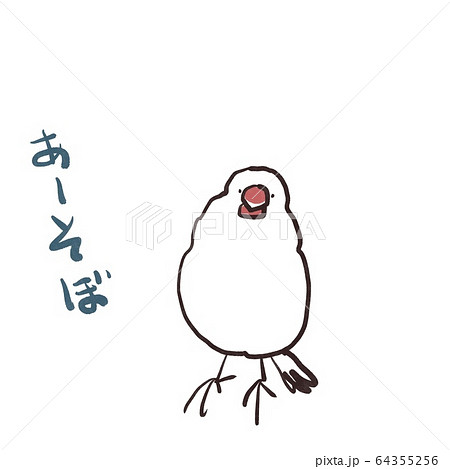話す文鳥（あそぼう） 64355256