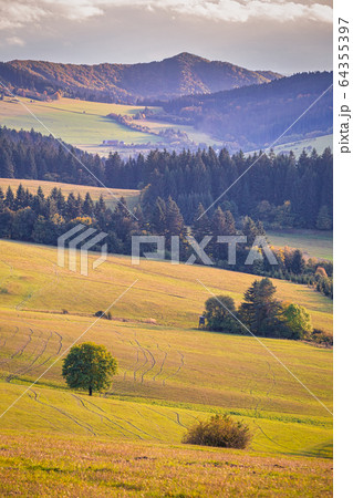 Rural landscape in autumn, National Nature Reserve 64355397