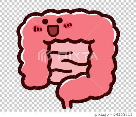かわいい大腸 小腸 笑顔 健康のイラスト素材