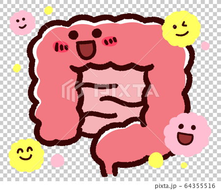 かわいい大腸 小腸 笑顔 善玉菌のイラスト素材 64355516 Pixta