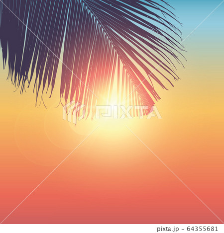 sunny colorful summer holiday design with palm leaf 64355681