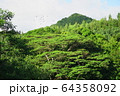 山の景色 64358092