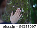 【ハワイ】カウアイ島の森のエネルギーを感じる 64358097