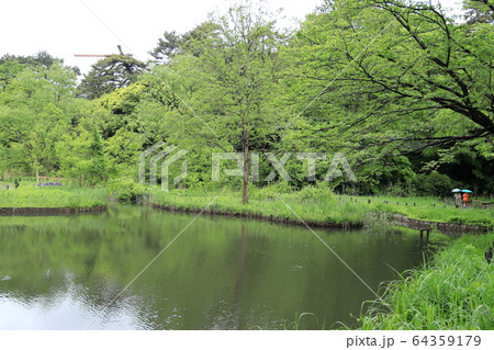 緑の公園 緑の公園 64359179