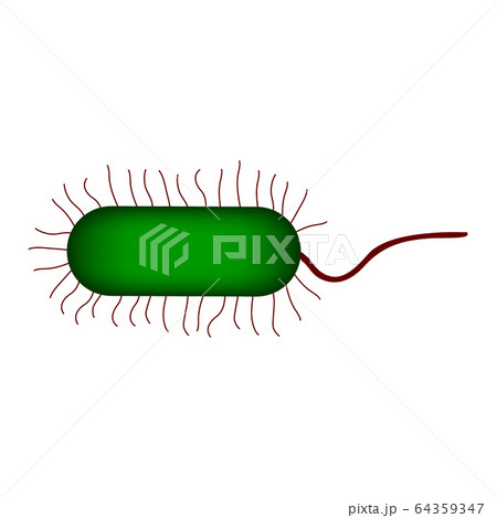 Bacterium icon on white. 64359347